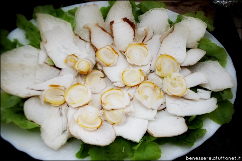 carpaccio di porcini freschi