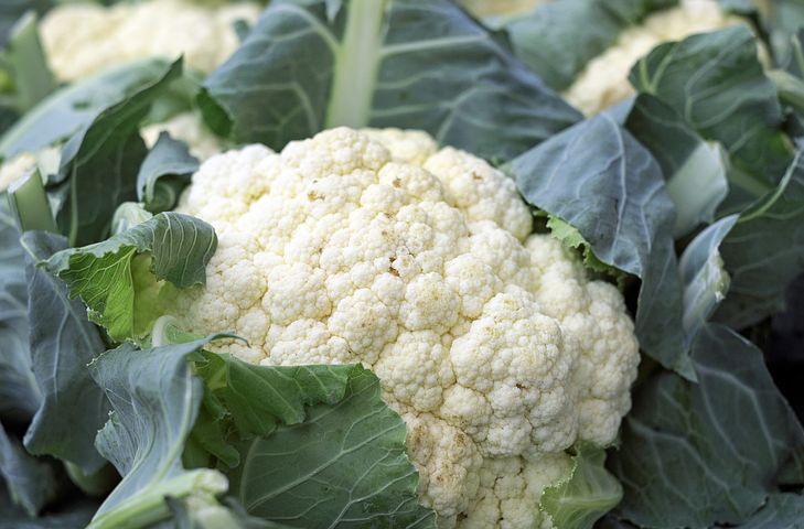 cauliflower-1465732–480