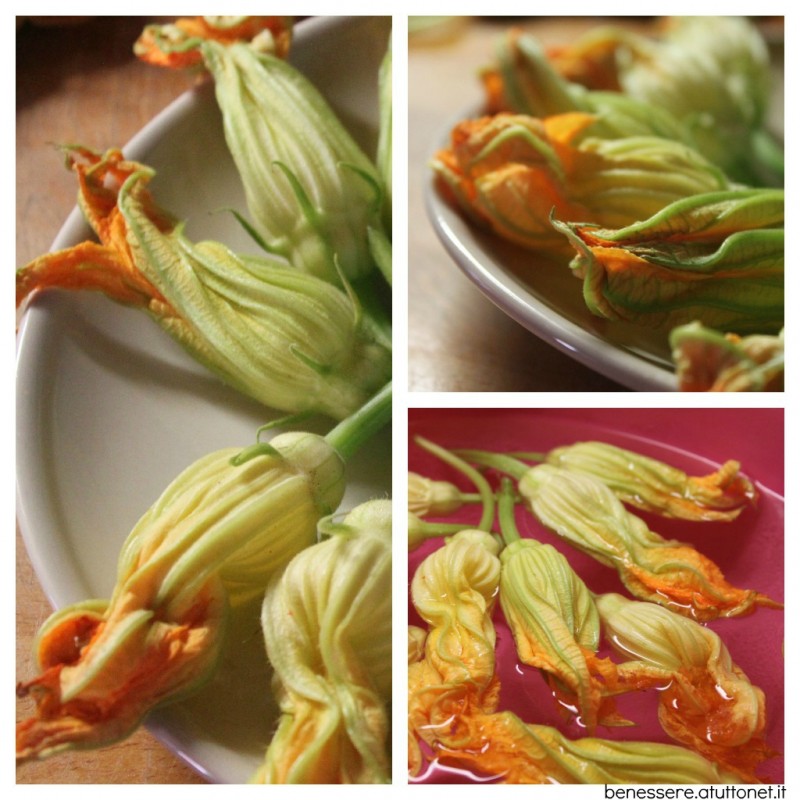 fiori di zucca collage