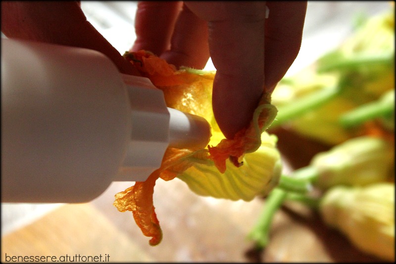 fiori di zucca con la siringa