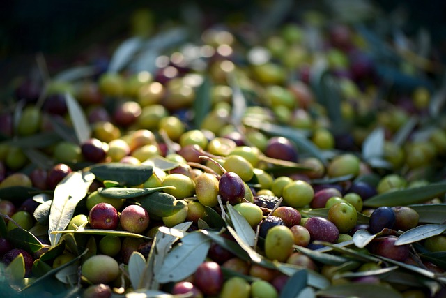 olive-frutto