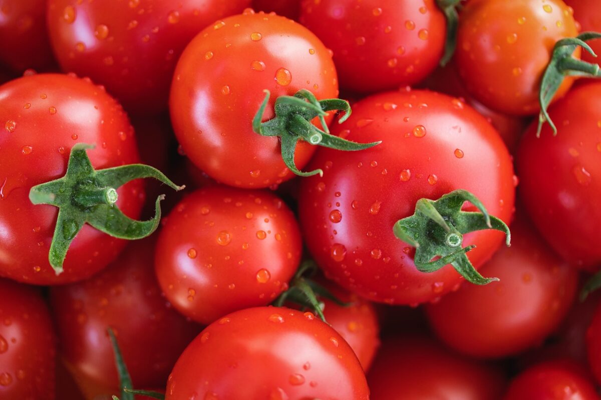 Passata di Pomodori (in Scatola)