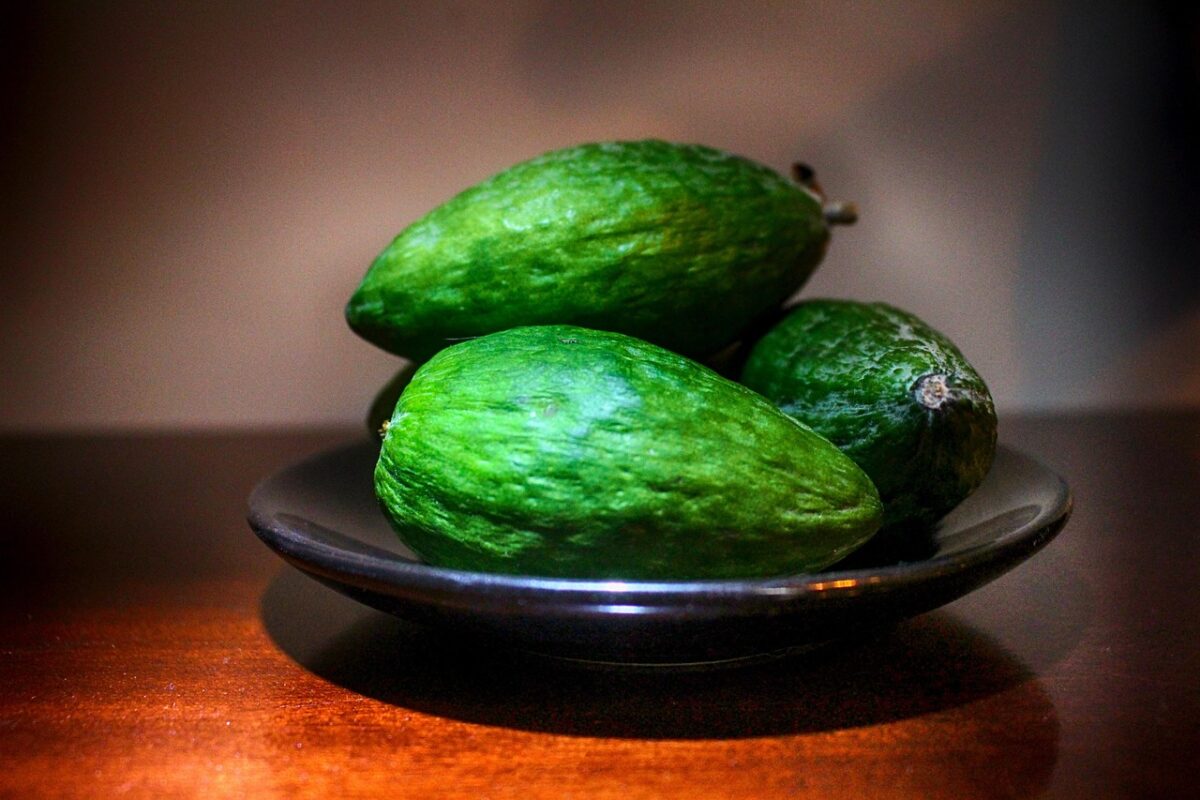 Feijoa