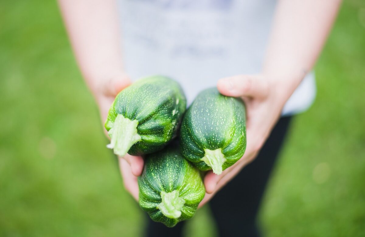 Zucchine Grigliate