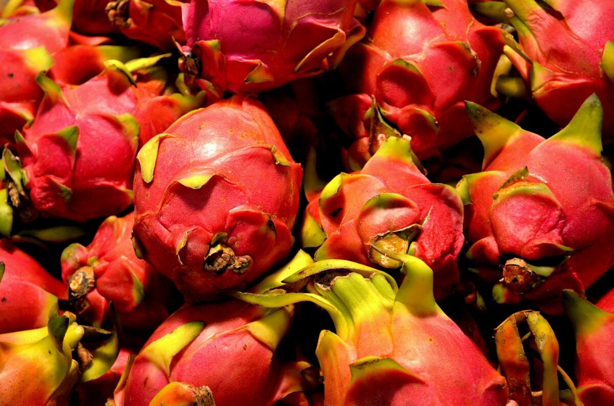 Pitaya