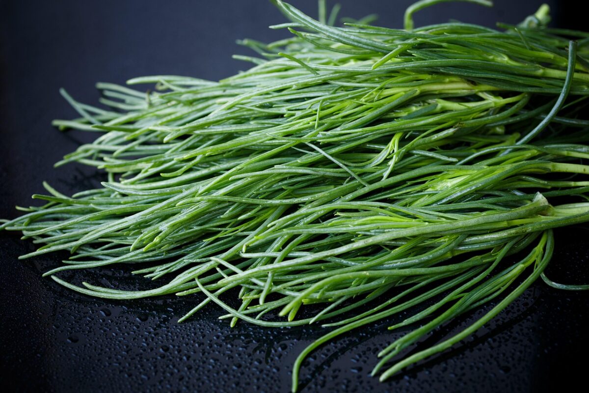 Agretti