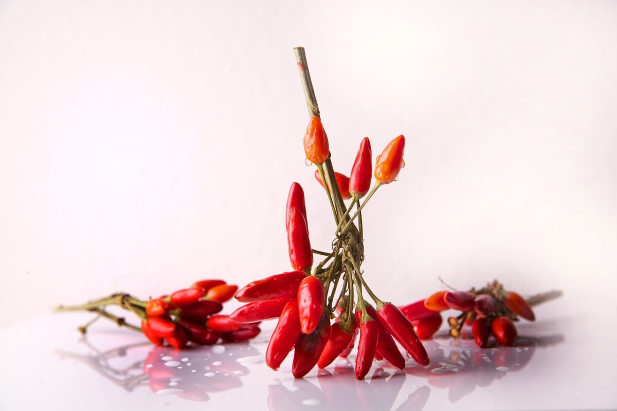 Peperoncino Rosso in Polvere